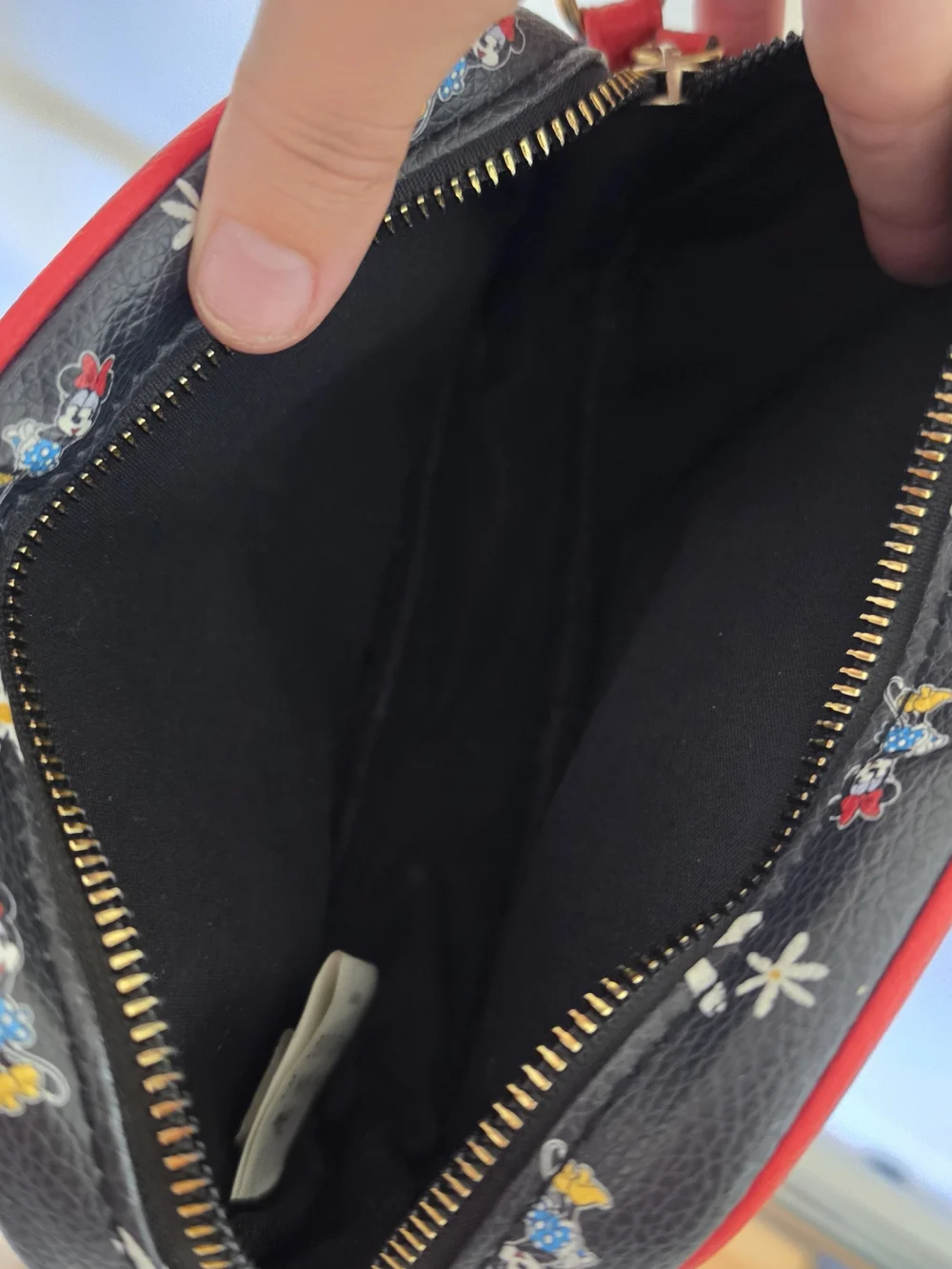 Disney Minnie Mouse Black Crossbody Bag with Red Trim and Daisy Print